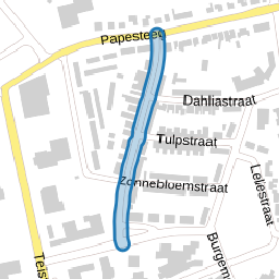 Rozenstraat