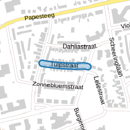 Tulpstraat