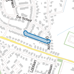 De Dorsvlegel