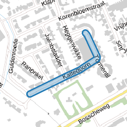 Kattedoorn