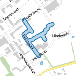 Berenpoot