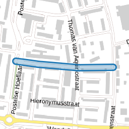 Albertus Magnusstraat