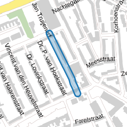 Dominee Kopsstraat