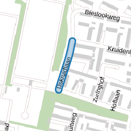 IJskruidlaan