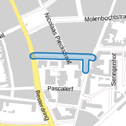Leonard van Vechelstraat