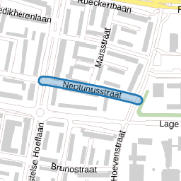 Neptunusstraat