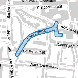 Prunusstraat