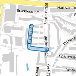 Taxusstraat
