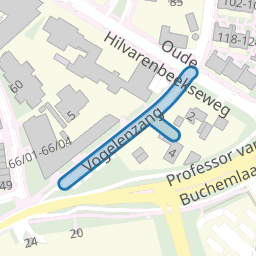 Vogelenzang