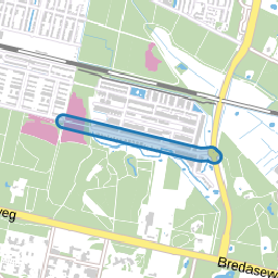 Witbrantlaan Oost