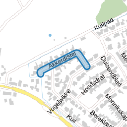 Akkerdistel
