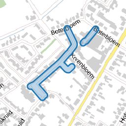 Goudsbloem