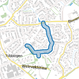 Bachstraat