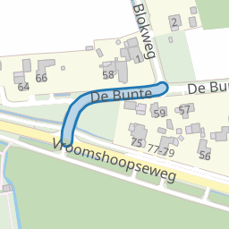 De Bunte