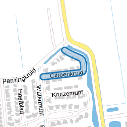 Citroenkruid