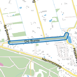 De Bunte