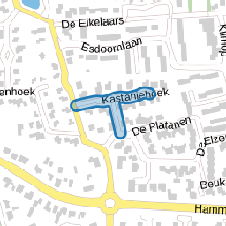 Kastanjehoek