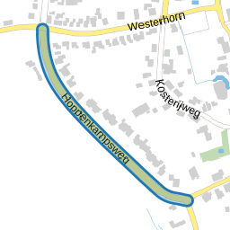 Hoppenkampsweg