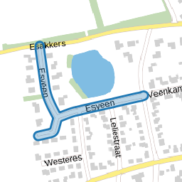 Esveen
