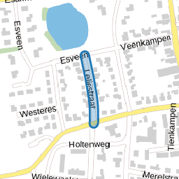 Leliestraat