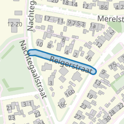 Reigerstraat