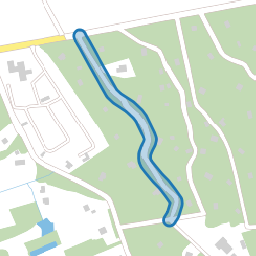 Dennenlaan