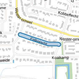 Falkejacht