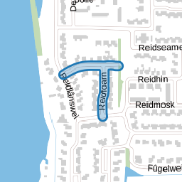 Reidfoarn