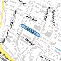 Tulpstraat