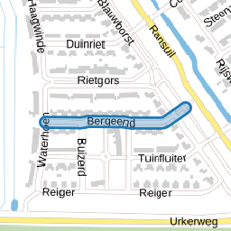 Bergeend