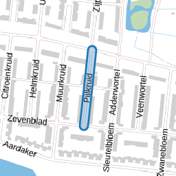 Pijlkruid