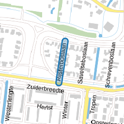 Rijsterboslaan