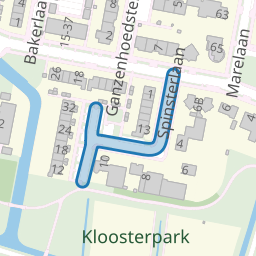 Spinsterlaan