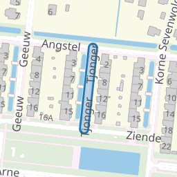 Tjonger