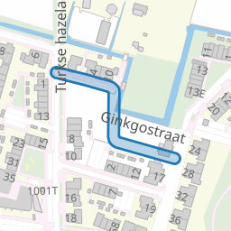 Ginkgostraat