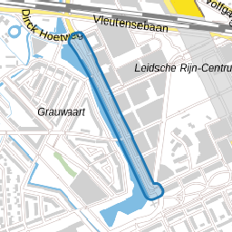 Grauwaartsingel