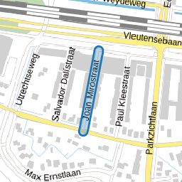 Joan Miróstraat