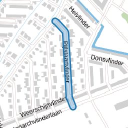 Pijlstaartvlinder