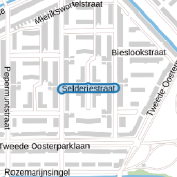 Selderiestraat
