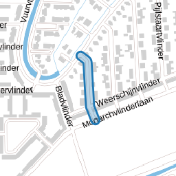 Uilvlinder