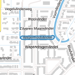 Wilgenhoutvlinder