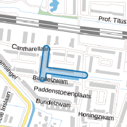 Beurszwam