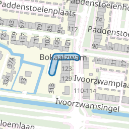 Bokaalzwam