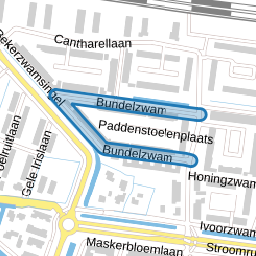 Bundelzwam