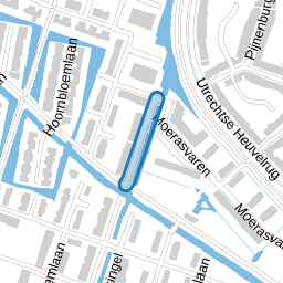 Dwergbloemsingel