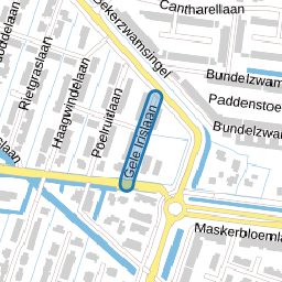 Gele Irislaan