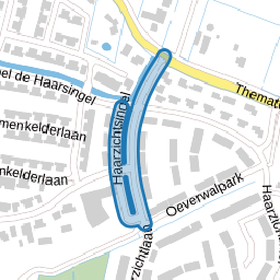 Haarzichtsingel