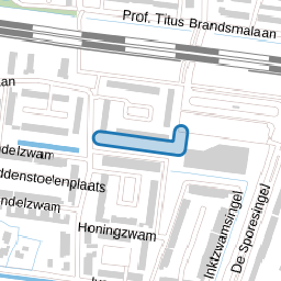 Kaaszwamsingel