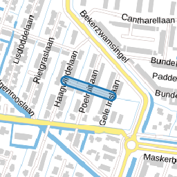 Perzikkruidkade