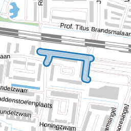 Truffelzwam